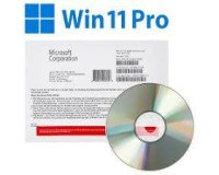 WINDOWS PRO 11 64BIT ENGLISH 1PK  DSP OEI DVD