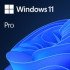 Win Pro