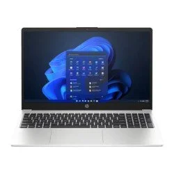 HP 255 G10 (Natural Silver)